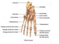 /album/fotogaleria/images-jpg/